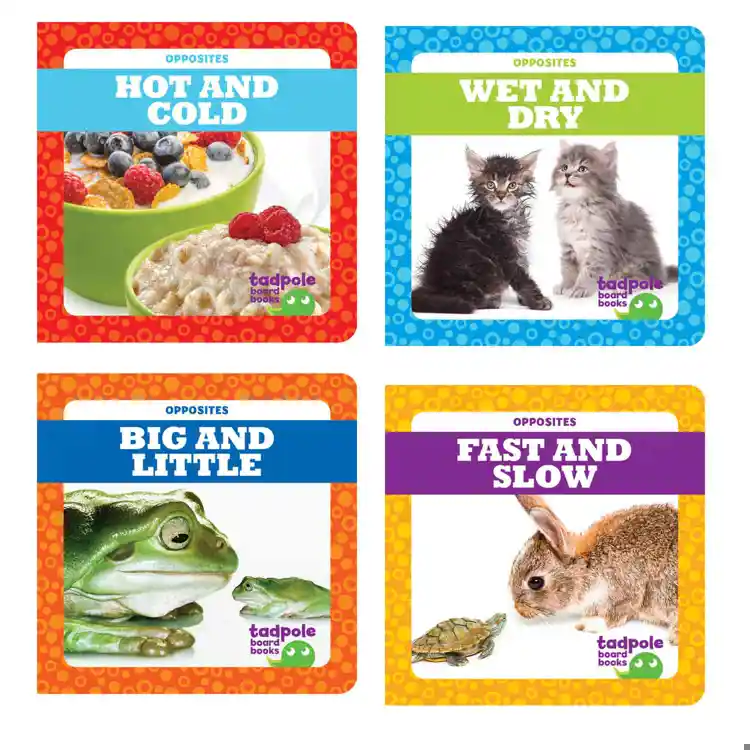 Opposites Board Book Set