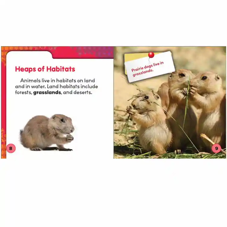 Animal Habitats