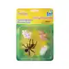 Ant Life Cycle Stages