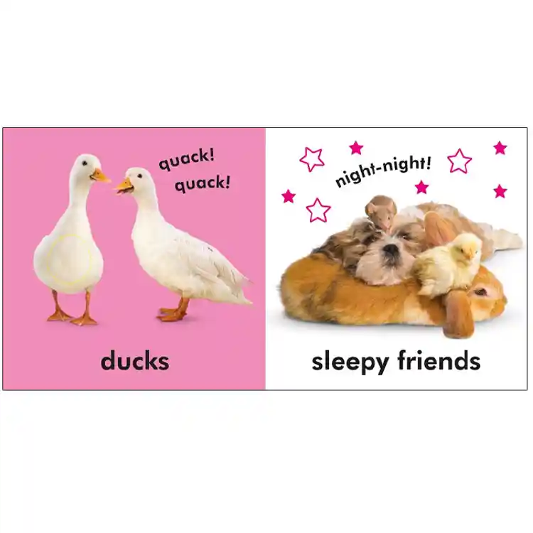 Baby Touch & Feel Board Book Set