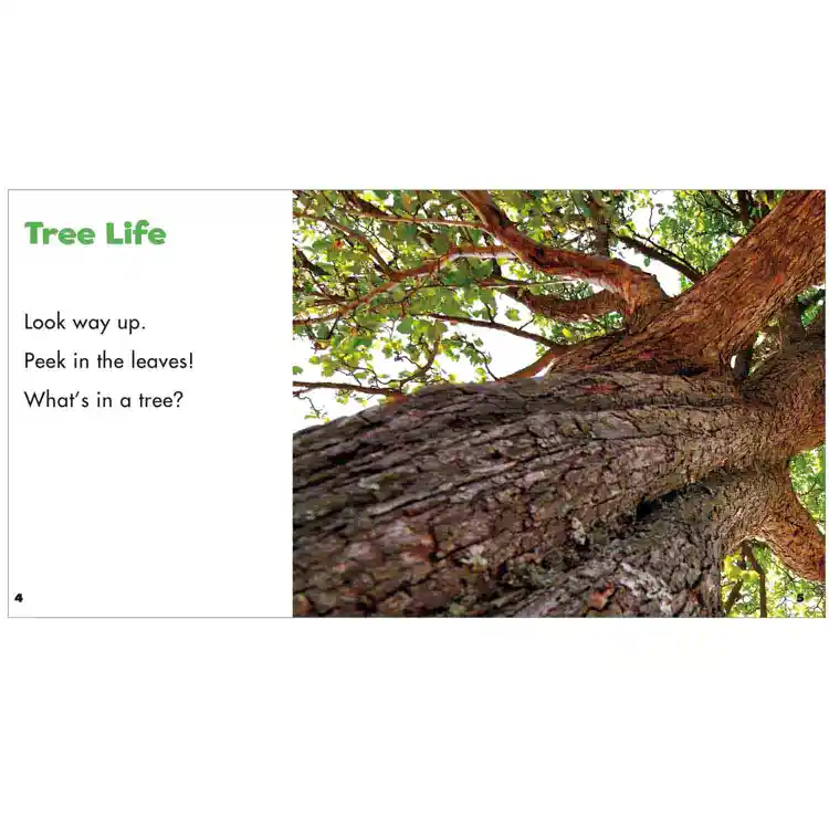 Theme Book Set: Trees