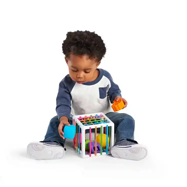 Building Baby's Brain Collection