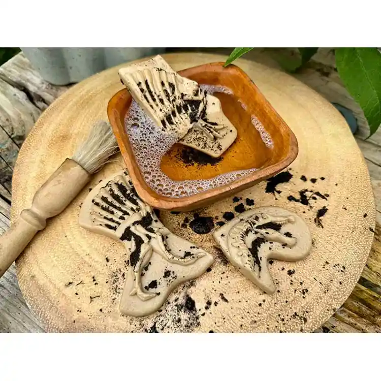 Dig & Discover Dinosaurs