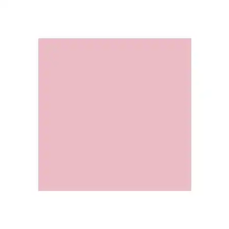 Dual Purpose Colored Copy Paper, Pink