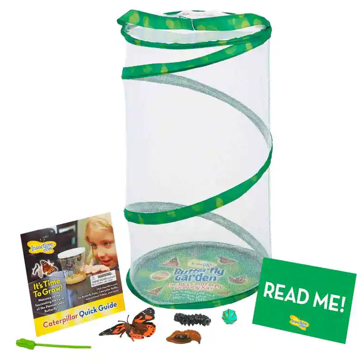 Giant Butterfly Garden