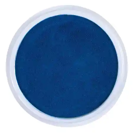 Jumbo Circular Washable Stamp Pads, Blue