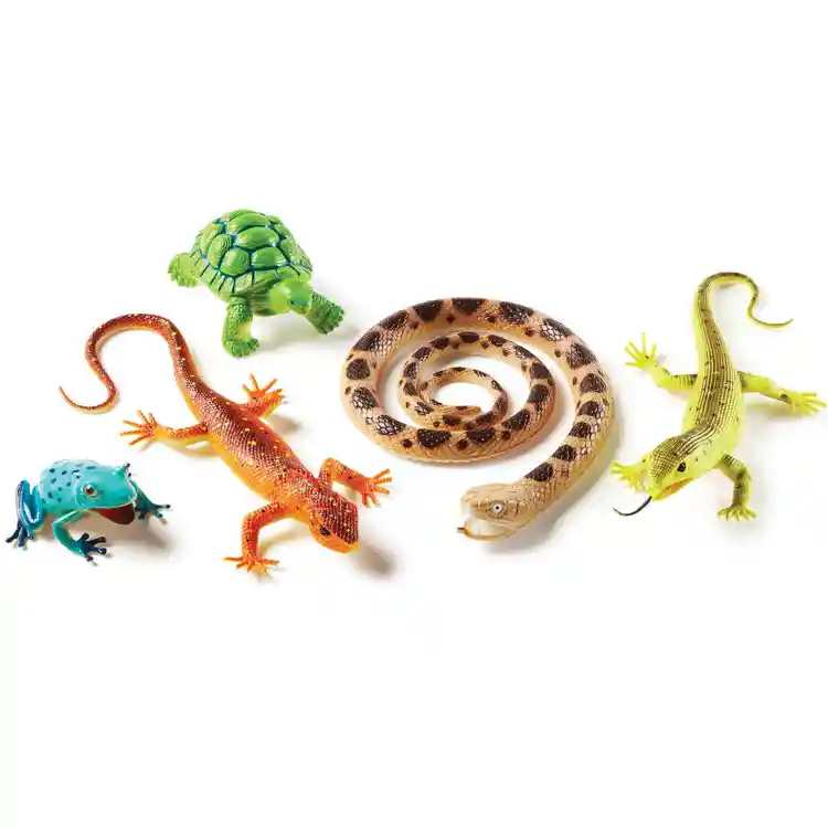 Jumbo Reptiles & Amphibians