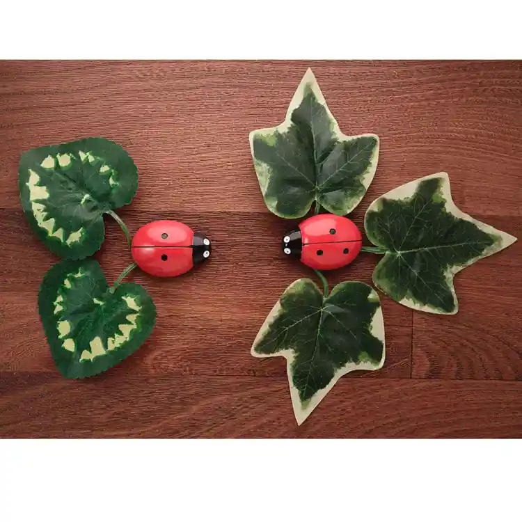 Ladybug Counting Stones