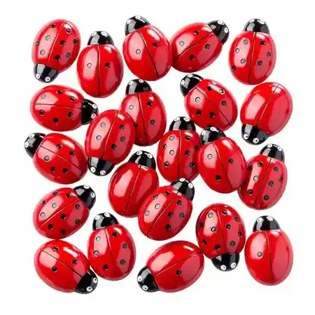 Ladybug Counting Stones