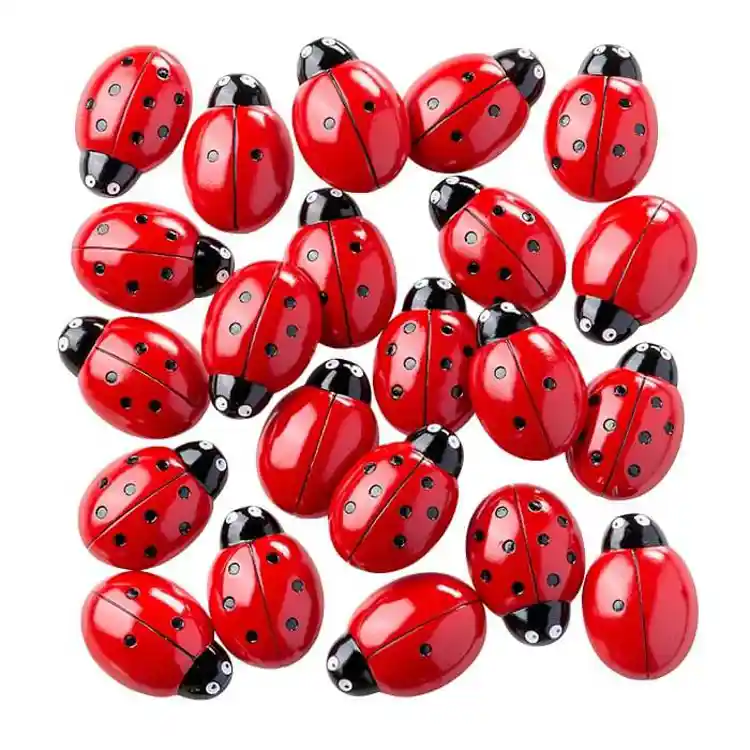 Ladybug Counting Stones