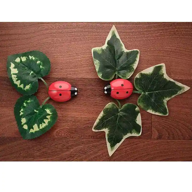 Ladybug Counting Stones