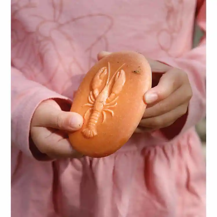 Let's Investigate! Sensory Stones, Seashore