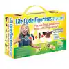 Life Cycle Figurines Classroom Set