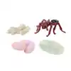 Life Cycle Figurines Classroom Set