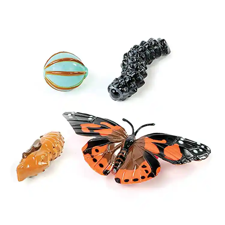 Life Cycle Figurines Classroom Set