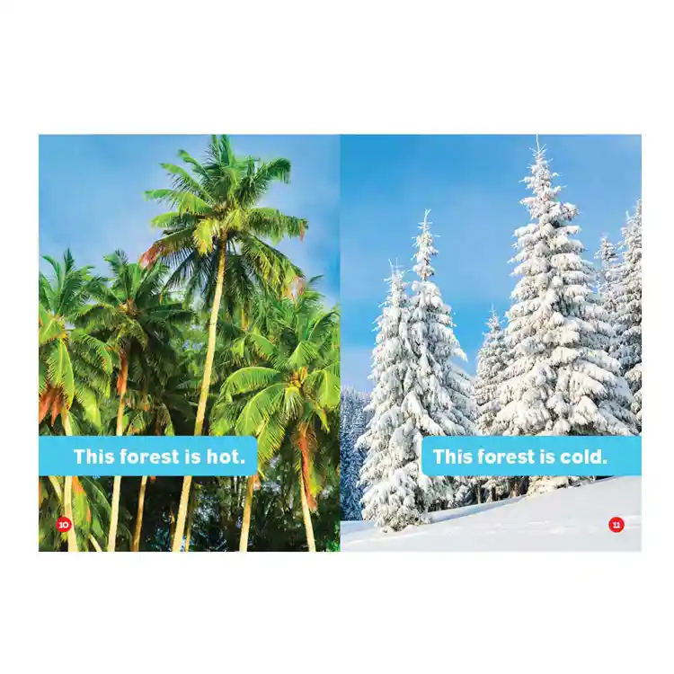 Opposites Board Book Set