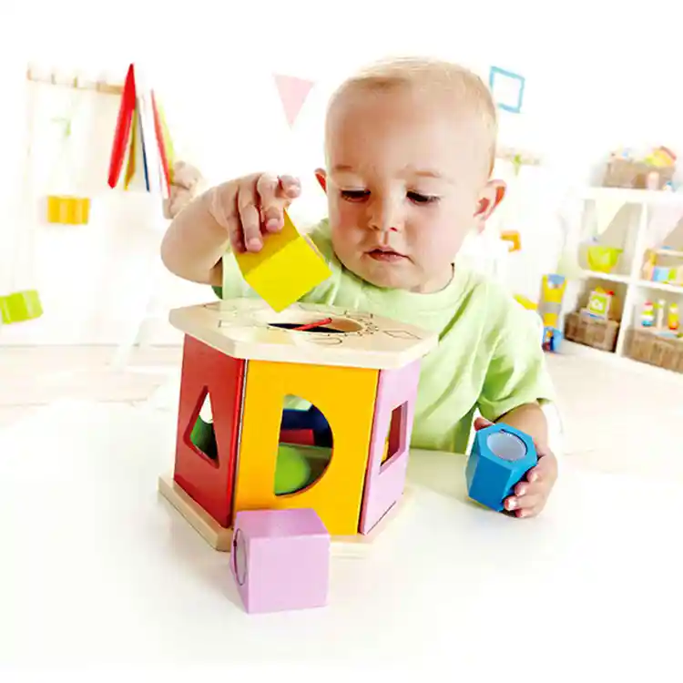 Shake & Match Shape Sorter