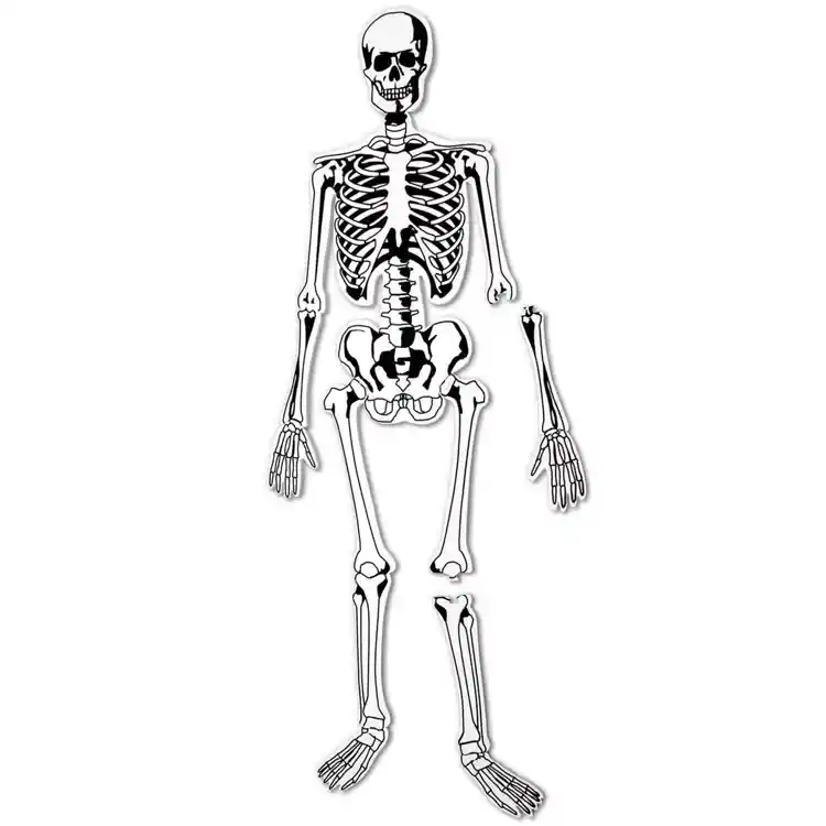 Skeleton Floor Puzzle