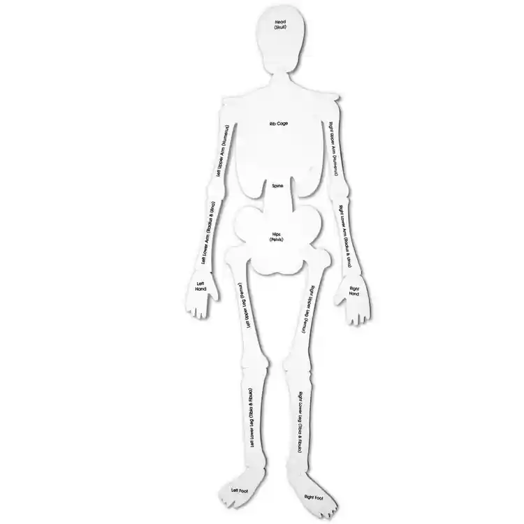 Skeleton Floor Puzzle