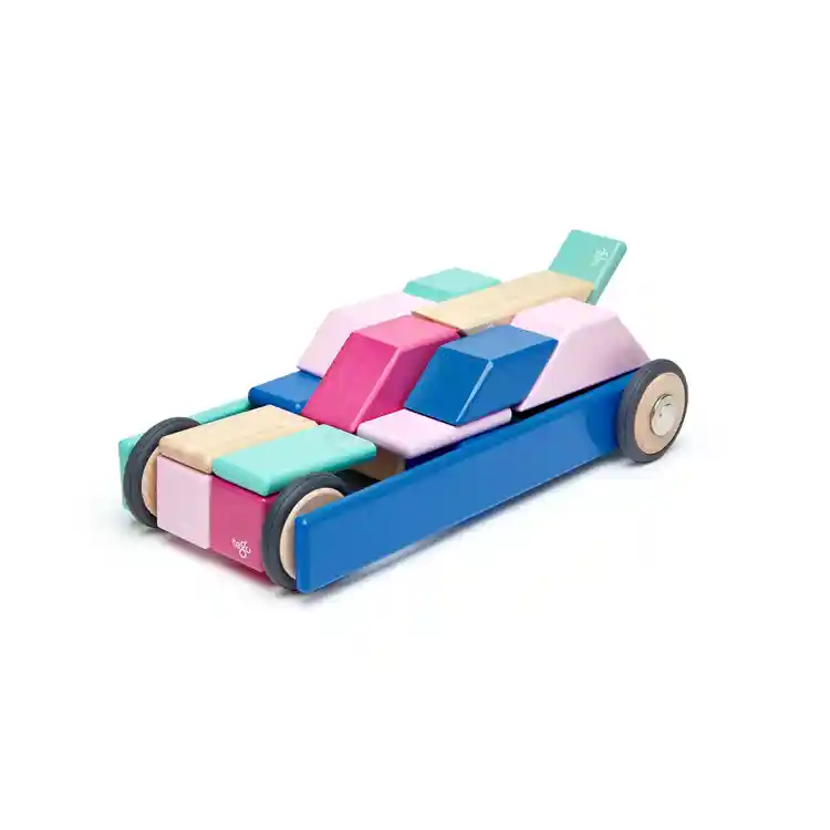 Tegu Magnetic Blocks, 42 Pieces - Blossom