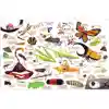 Theme Book Set: Insects & Spiders