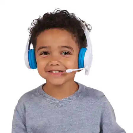 Wireless Bluetooth Headphones