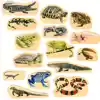 Wooden Reptile & Amphibian Blocks
