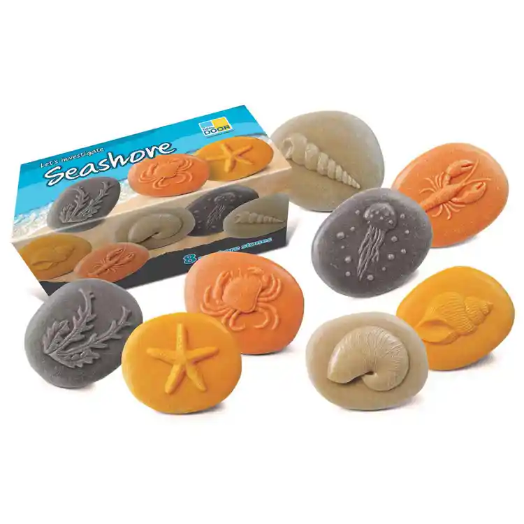 Let's Investigate! Sensory Stones, Seashore