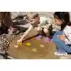 Let's Investigate! Sensory Stones, Seashore