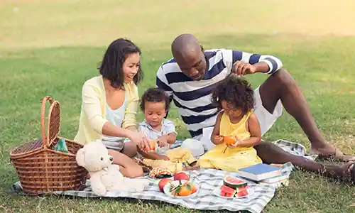 Let&rsquo;s Have an Alphabet Picnic Activity