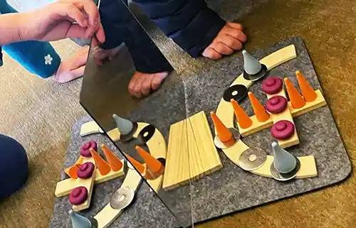 Loose parts in a mirror showing symmetry